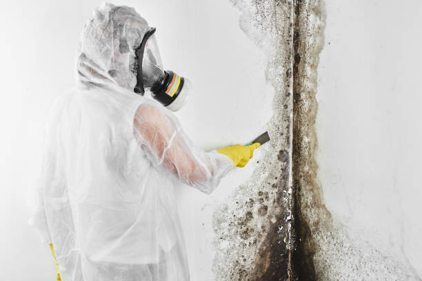 Best Biohazard Mold Removal  in Union Point, GA