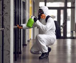 Best Comprehensive Air Testing for Mold Contaminants  in Union Point, GA